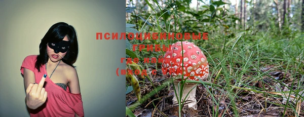 спиды Балахна