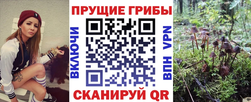 Псилоцибиновые грибы мухоморы  сайты даркнета как зайти  Дюртюли  blacksprut ссылка 