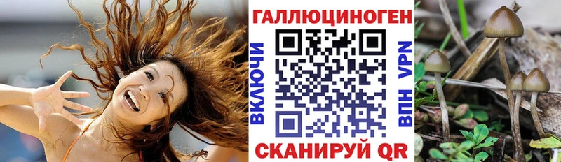 Галлюциногенные грибы GOLDEN TEACHER Дюртюли